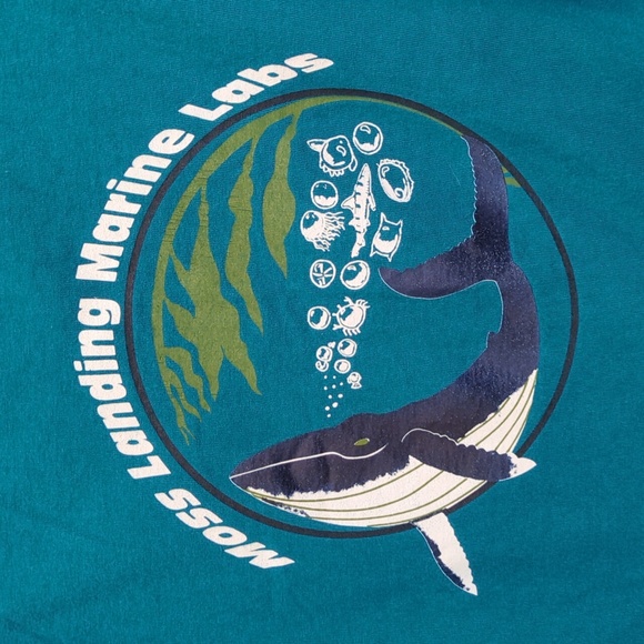 Port Authority Moss Landing Marine Labs Short Sleeve T Shirt Size Medium - Picture 4 of 5